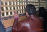TRKMEN ALEV BEKTA DERNE RESM WEB STES